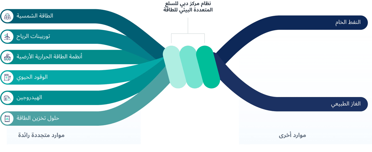 img-dmcc-energy-ecosystem-ar